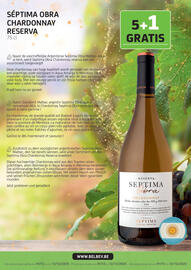 BelBev folder Pagina 10