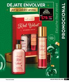 Catálogo Zermat Página 101