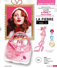 Catálogo Zermat Página 73