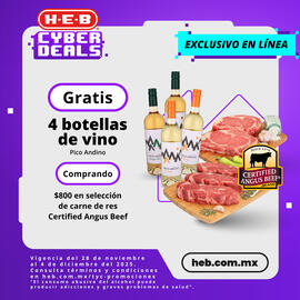 Folleto HEB Página 1