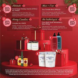 Healthy Planet flyer Page 8