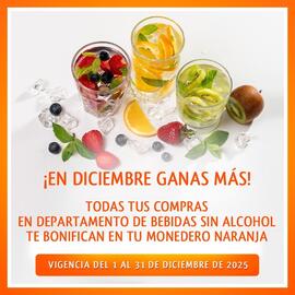 Folleto La Comer Página 4