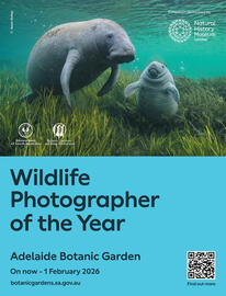 Foodland catalogue Page 64