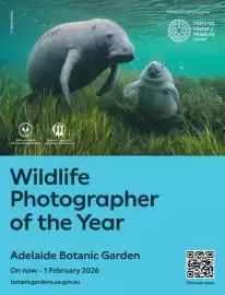 Foodland catalogue Page 64