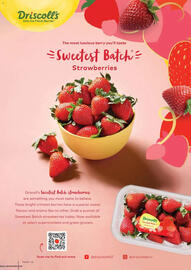 Foodworks catalogue Page 26