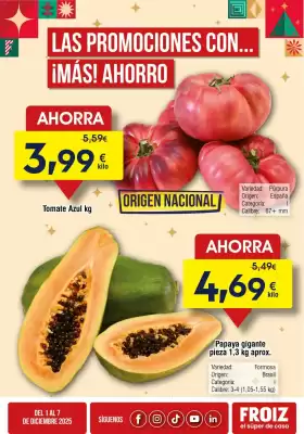 Folleto FROIZ (válido hasta el 7-12)