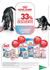 Catálogo El Corte Inglés Página 20