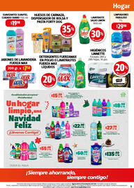 Folleto Farmacias Guadalajara Página 5