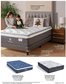 Catálogo Coppel Página 101