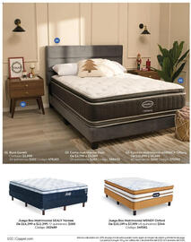 Catálogo Coppel Página 102