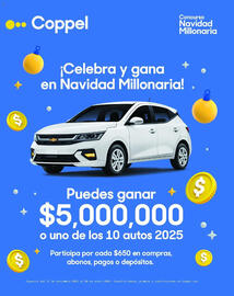 Catálogo Coppel Página 114