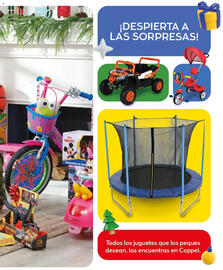 Catálogo Coppel Página 25