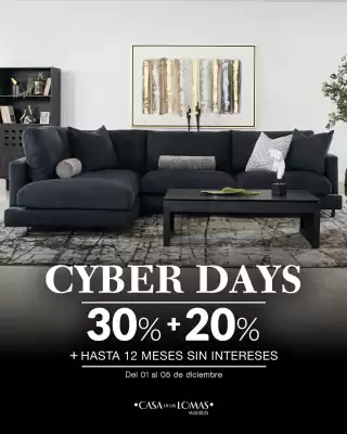 Catálogo Casa de las Lomas (válido hasta 20-12)