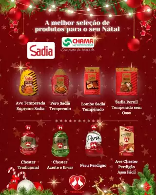 Catálogo Chama Supermercados (válido até 31-12)