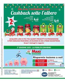 Volantino Maxi Supermercati Pagina 16