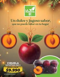 Catálogo Tiendas D1 Página 33