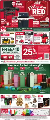 Ace Hardware flyer (valid until 24-12)