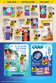 Albert leták týden 49 Strana 46