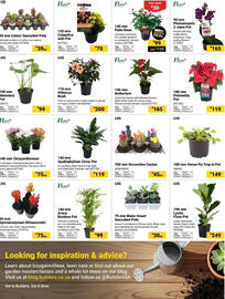 Builders Warehouse catalogue Page 5