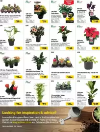 Builders Warehouse catalogue Page 5