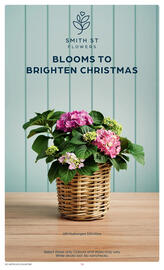 Coles catalogue week 49 Page 16