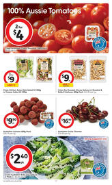 Coles catalogue week 49 Page 17
