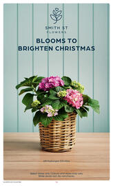 Coles catalogue week 49 Page 16