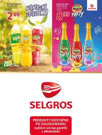Selgros gazetka Strona 37