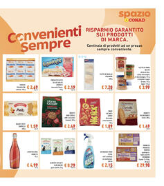 Volantino Spazio Conad Pagina 17