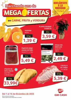 Folleto GM Cash & Carry (válido hasta el 15-12)