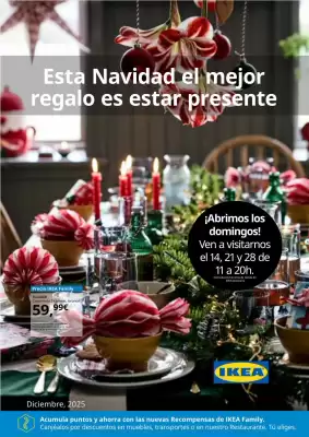 Catálogo IKEA (válido hasta el 31-12)