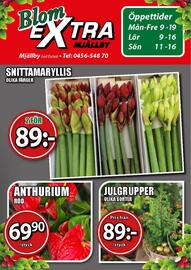 Extra Mjällby Stormarknad reklamblad vecka 49 Sida 15