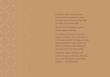 Honey Fashion Accessories catalogue Page 2