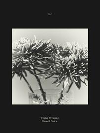 Massimo Dutti leták Strana 18