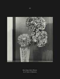 Massimo Dutti leták Strana 37