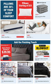 The Brick flyer Page 7