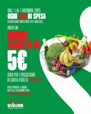 Volantino Vibian (valido fino al 7-12)