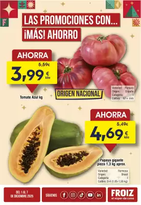 Folleto FROIZ (válido hasta el 7-12)