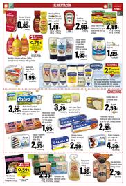 Folleto FROIZ Página 13