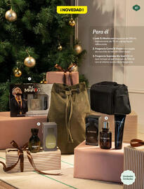 Catálogo Mercadona Página 67