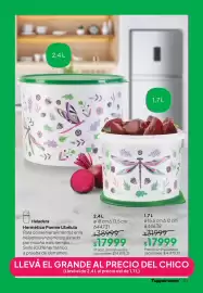 Folleto Tupperware Página 44