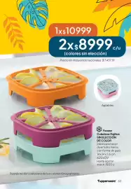 Folleto Tupperware Página 64