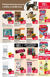 Teta leták Strana 20