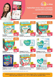 Teta leták Strana 24