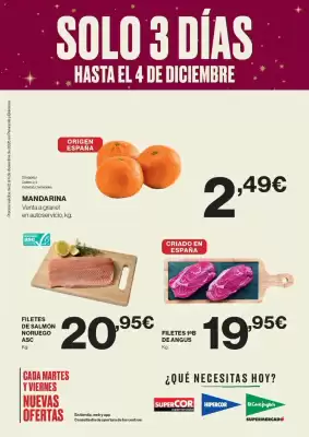 Catálogo Viajes El Corte Inglés (válido hasta 4-12)