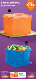 Catálogo Tupperware Página 33