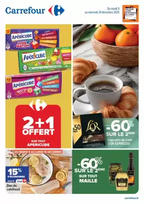 Catalogue Carrefour (valable jusqu'au 24-12)