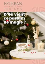 Catalogue Truffaut page 47