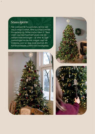 Plantasjen kundeavis Side 17