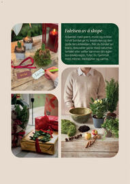 Plantasjen kundeavis Side 19